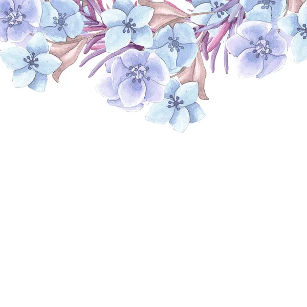 Wiosna kwiaty niebieski — Zdjęcie stockowe