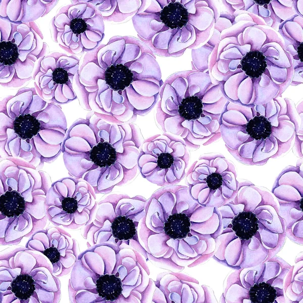 Pipacsos zökkenőmentes virágmintás — Stock Fotó