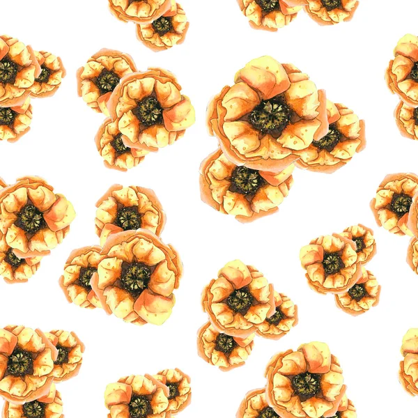 Motif floral sans couture avec des coquelicots — Photo