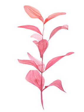 Kırmızı yaprakları SAP