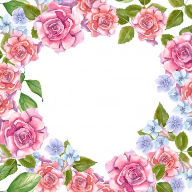 Yapraklı pembe güller 