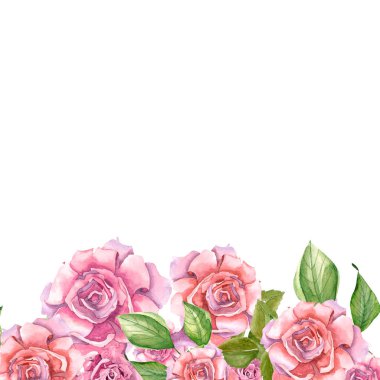 Yapraklı pembe güller 