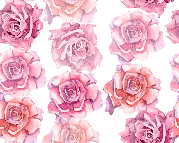 Rosas rosa com padrão de folhas — Fotografia de Stock
