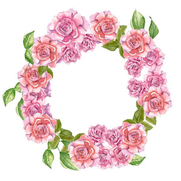Rosa rosor med blad — Stockfoto