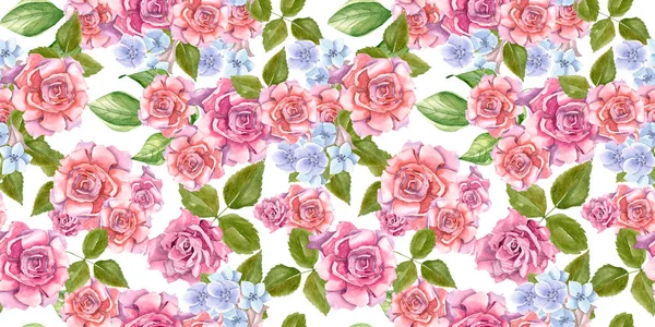 나뭇잎 패턴 핑크 장미 — 스톡 사진
