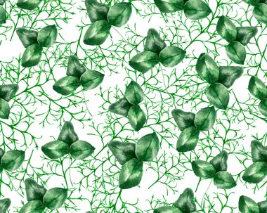 Yeşil yonca yaprağı deseni 