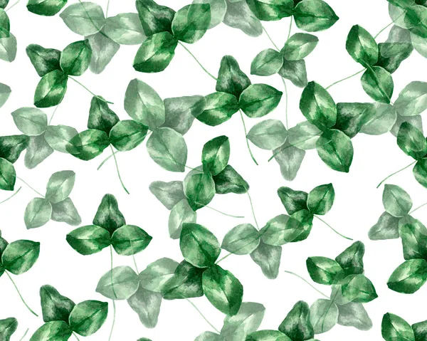 Yeşil yonca yaprağı deseni — Stok fotoğraf