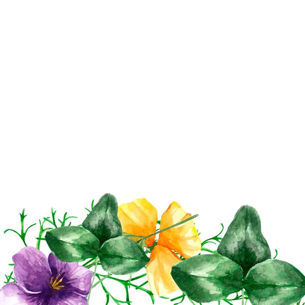 Variedad de flores de acuarela — Foto de Stock