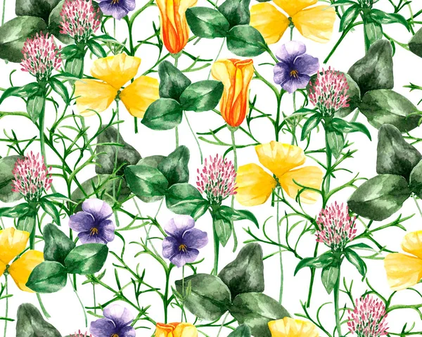 Varietà di fiori ad acquerello — Foto Stock