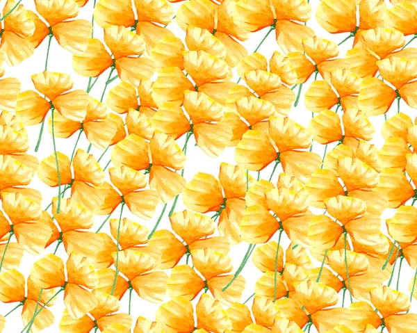 Žlutá Nasturtium vzor — Stock fotografie