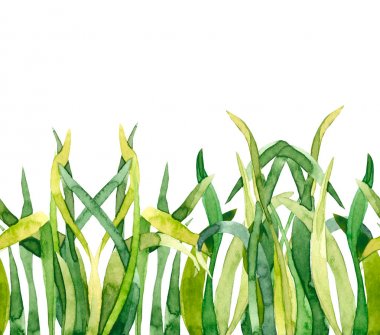 Yeşil suluboya çim 