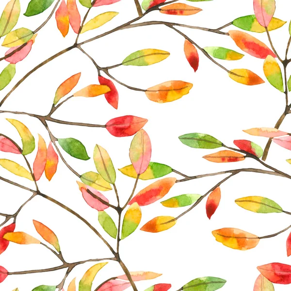 Modèle floral d'automne — Photo
