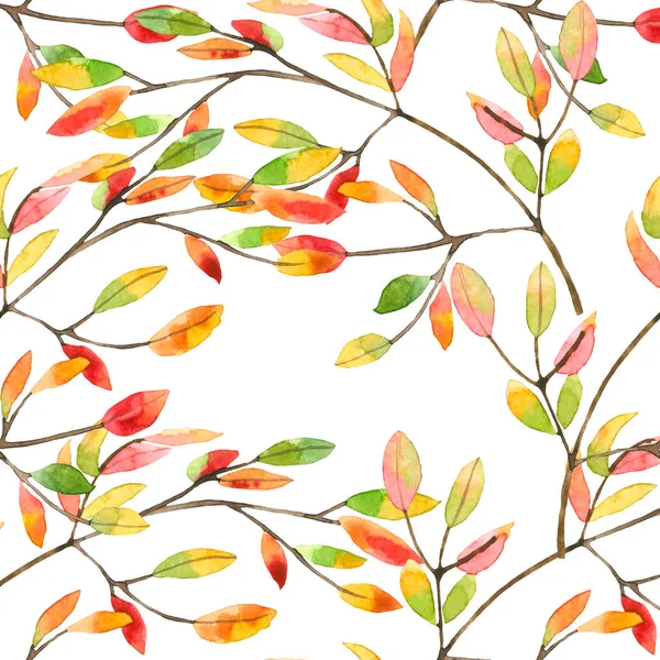 Outono padrão floral — Fotografia de Stock