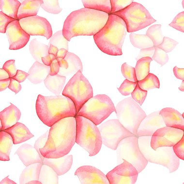 pembe plumeria çiçek deseni