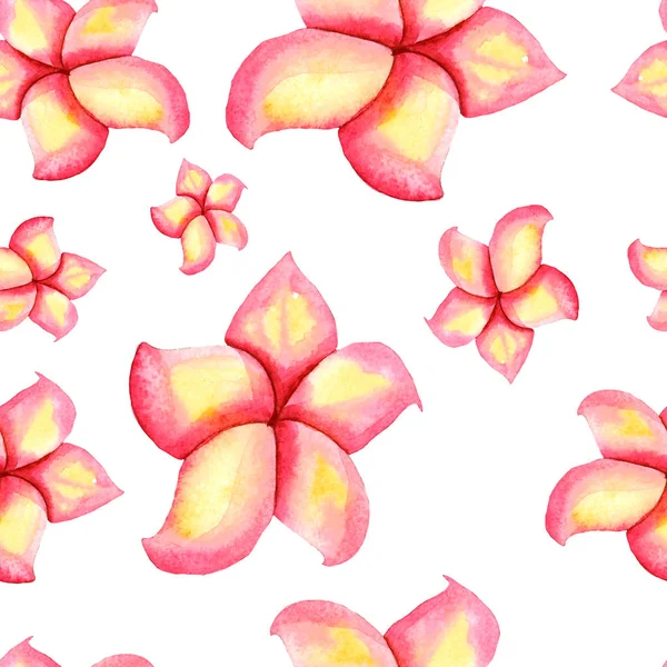 Patrón de flores de plumeria rosa —  Fotos de Stock