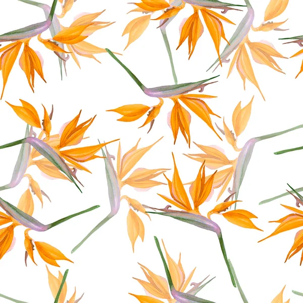 Padrão de flores de laranja — Fotografia de Stock