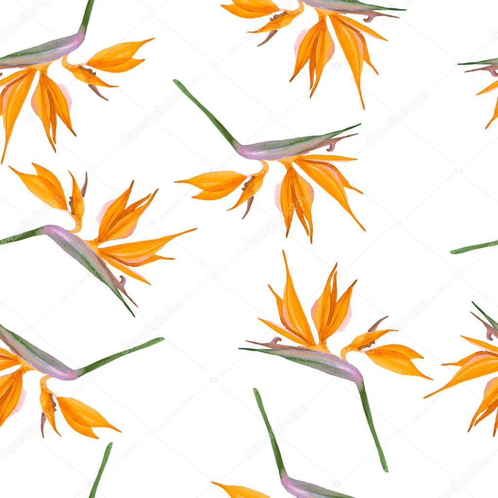 Pattern of orange flowers