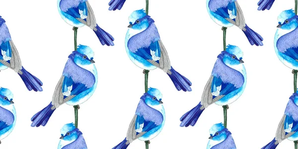 Узор голубых и серых птиц — стоковое фото