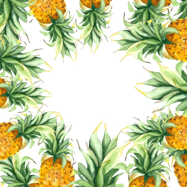 Rahmen aus Ananas mit Blättern — Stockfoto