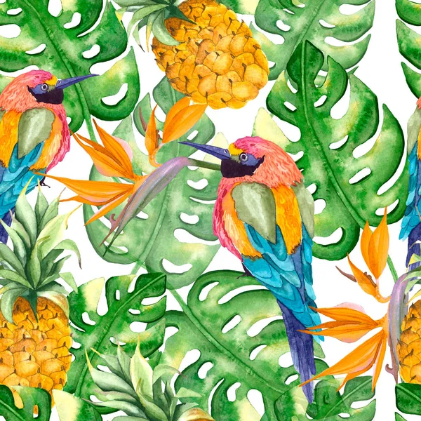Aves con flores tropicales —  Fotos de Stock