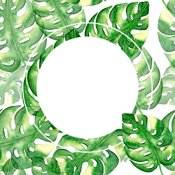 绿色的大怪物树叶的花环 — 图库照片
