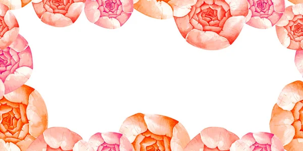 Cornice Acquerello Con Peonie Illustrazione Disegnata Mano — Foto Stock