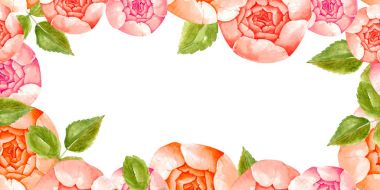 peonies ve yeşil yaprakları, suluboya çerçeveli el çizilen illüstrasyon