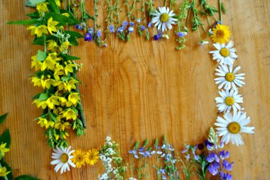 çerçeve kır çiçekleri