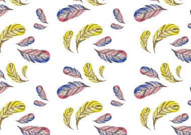 parlak renkli boyalı tüyler