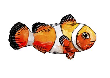 güzel balık sanat boyalı