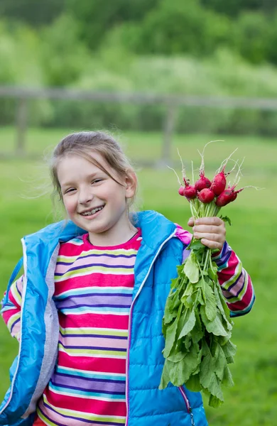 Happy little girl holding a bunch of radishes — Stock Photo, Image
