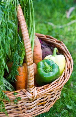 Sepette taze sebzeler