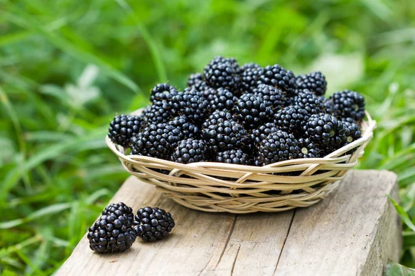 Moras en la cesta — Foto de Stock