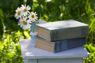 Kitap yaz bahçesinde. Papatyalar kupa buket.