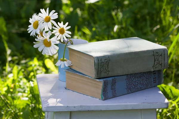 Libros Jardín Verano Ramillete Margaritas Taza —  Fotos de Stock