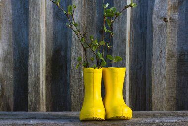 Spring bouquet of tree branches in yellow boots, on a gray wooden background. the concept of spring and gardening.