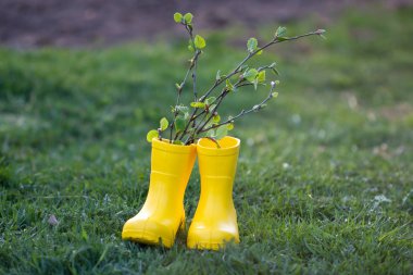 Spring bouquet of tree branches in yellow boots, on the green grass. Yellow boots on the green lawn.