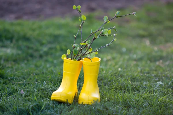 Spring Bouquet Tree Branches Yellow Boots Green Grass Yellow Boots — 스톡 사진