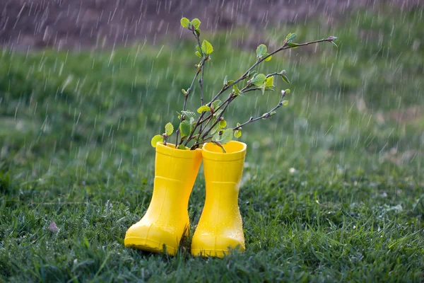 Bouquet of spring tree branches in yellow boots in the rain. Yellow boots on the green grass in the rain.