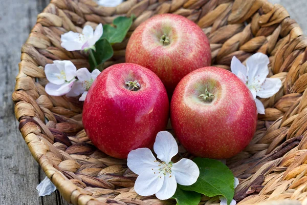 Röda Äpplen Korg Äppelblommor Närbild Bakgrund Grönt Gräs — Stockfoto