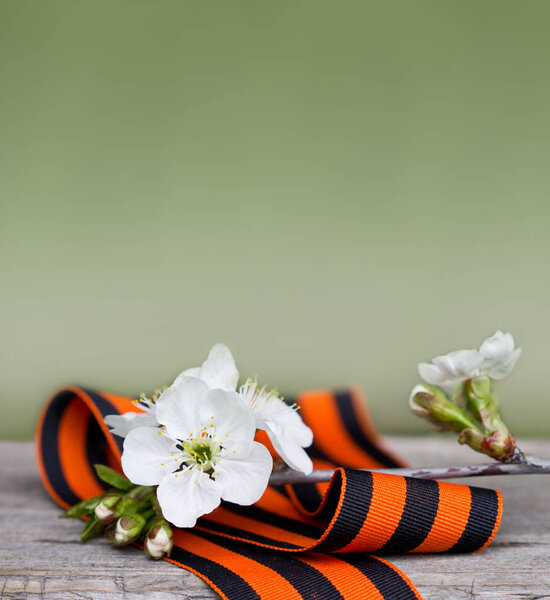 9 May, Victory Day. George ribbon and blossoming branch of a cherry . holiday Victory Day 1945 Russia. 75 years of victory.