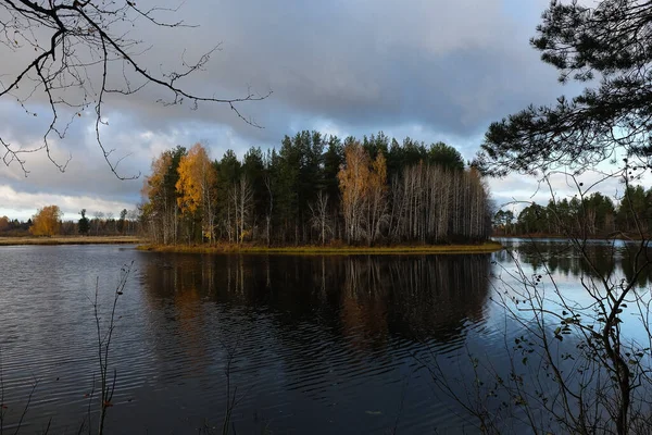 Sonbahar Orman Göl — Stok fotoğraf
