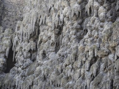 Wallenstein Sarayı duvar doku