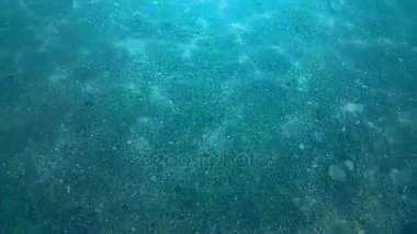 derin mavi su altında