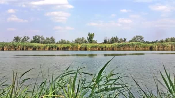 Lac dans une journée ensoleillée 