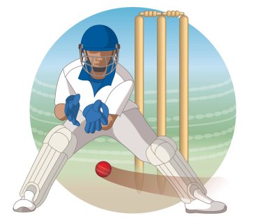 küçük kapı arka planda dahil kriket küçük kapı bekçisi alıcı kriket topu