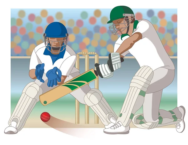 cricket defend the wicket cricket defend the wicket