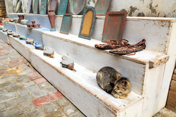 Katze schläft zwischen Souvenirs in Essaouira Marokko — Stockfoto