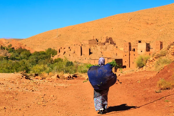 Mujer marroquí llevando una bolsa grande con hierbas con kasbah en el b —  Fotos de Stock