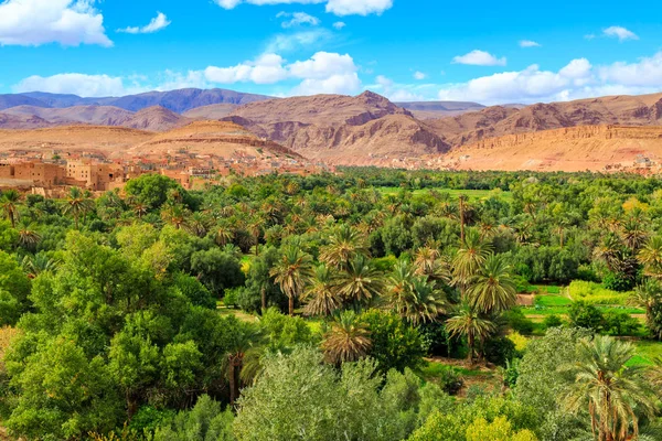 一个典型的摩洛哥柏柏尔村庄与绿洲景观 — 图库照片
